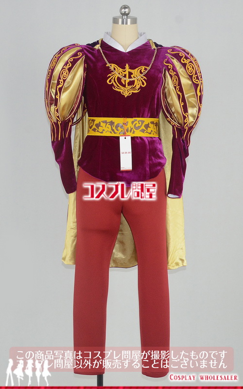 ディズニー映画 魔法にかけられて エドワード王子 手袋付き 刺繍 レプリカ衣装 フルオーダー 32 コスプレ問屋