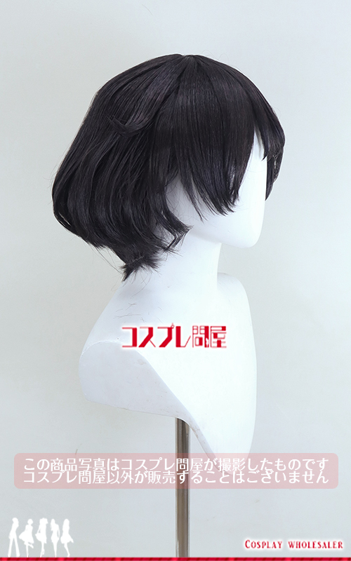 #コンパス 戦闘摂理解析システム ニコラ・テスラ(漆原るかコラボ) ウィッグのみ コスプレ衣装 フルオーダー [6124]